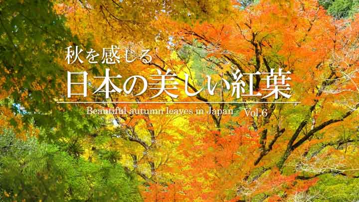 Autumn in Japan: 4K Immersive Scenery for Focus & Relaxation 2 Autumn in Japan: 4K Immersive Scenery for Focus & Relaxation