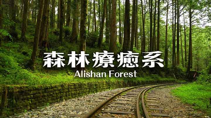 Alishan Forest Healing: 4K Mountain Scenery & Relaxing Piano 7 Alishan Forest Healing: 4K Mountain Scenery & Relaxing Piano