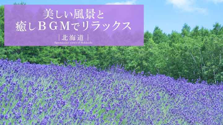 Hokkaido Wilderness: 3.5-Hour 4K Nature Healing Scenery for Focus 19 Hokkaido Wilderness: 3.5-Hour 4K Nature Healing Scenery for Focus