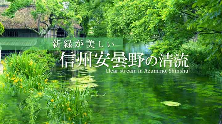 Serene Flow: 4 Hours of Crystal Clear Streams and Birdsong in Azumino, Shinshu 18 Serene Flow: 4 Hours of Crystal Clear Streams and Birdsong in Azumino, Shinshu